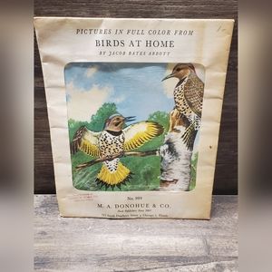 Vintage 1940s Jacob Bates Abbott Color Birds Art Print Lithograph Donohue